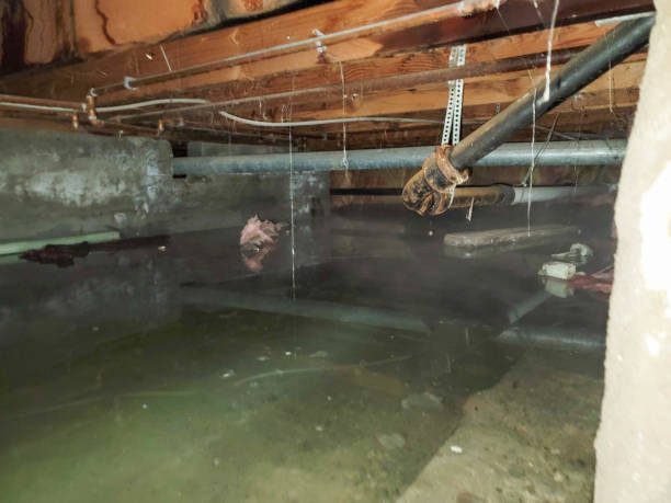 Best 24/7 water damage repair  in North Valley, NM