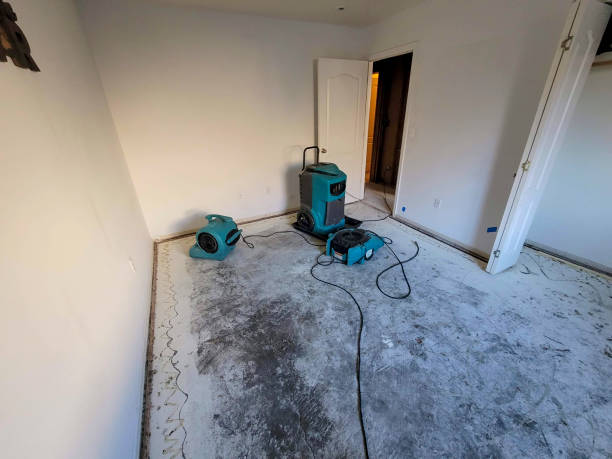 Best Carpet water damage restoration  in North Valley, NM