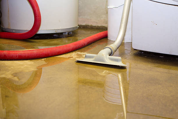 Best Water damage cleanup near me  in North Valley, NM