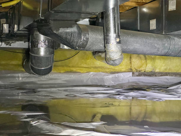 Best Basement water damage restoration  in North Valley, NM