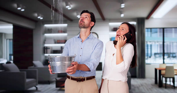 Best Flood restoration services  in North Valley, NM